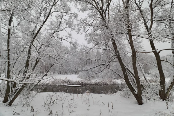 Paesaggio Invernale Con Corvo Vicino Fiume Yauza Nel Distretto Babushkinskiy — Foto Stock