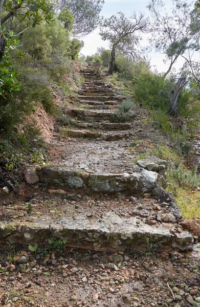 Wet stone steps on the hill