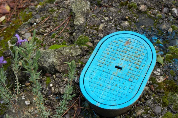 Brannhydrant i skog – stockfoto