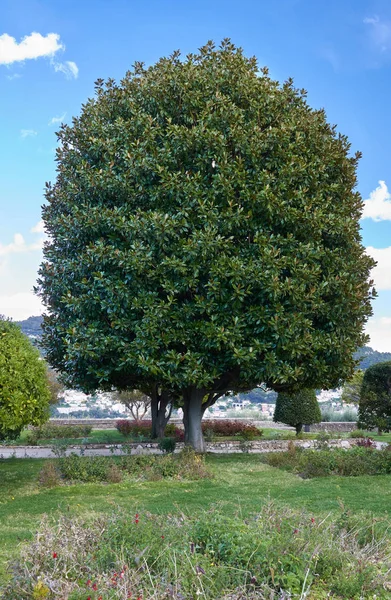 In the garden of the monastery — Stock Photo, Image