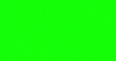 Yeşil kristalize poligonal arka plan. Dalga hareketi ile ince çizgiler Çokgen yüzeyi