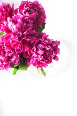 Beyaz bir arka planda Peonies