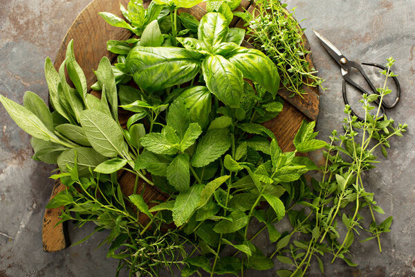 Cooking with fresh herbs