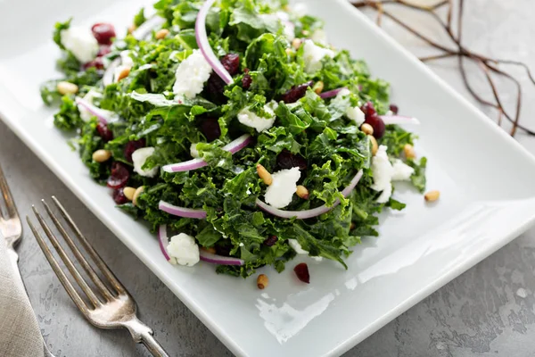 Kale salad with cranberry and feta — Stock Photo, Image