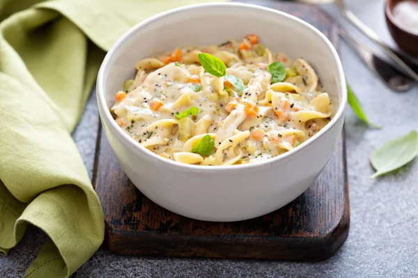 Sopa de macarrão de frango — Fotografia de Stock