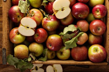 Tahta bir sandık içinde elma hasat