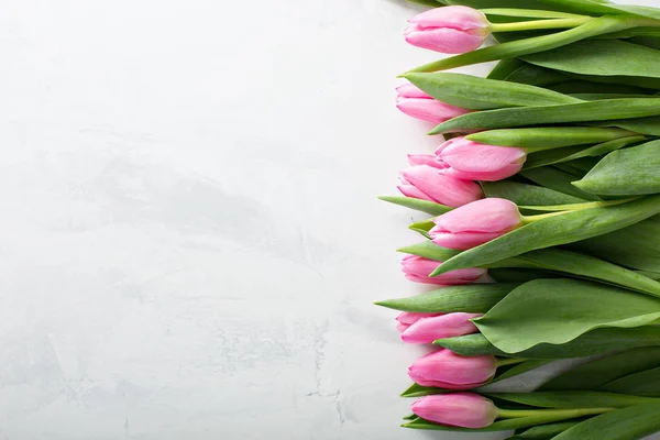 Růžové tulipány s kopií prostor — Stock fotografie