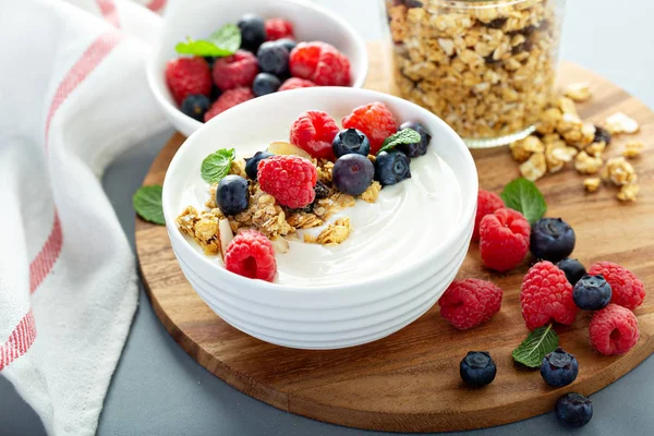 Plain yougurt with granola on side — Stock Photo, Image