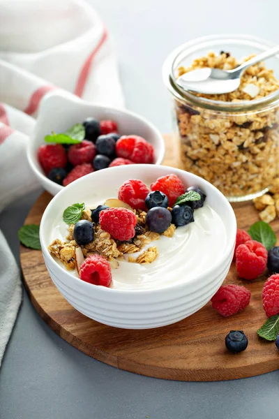 Plain yougurt with granola on side — Stock Photo, Image