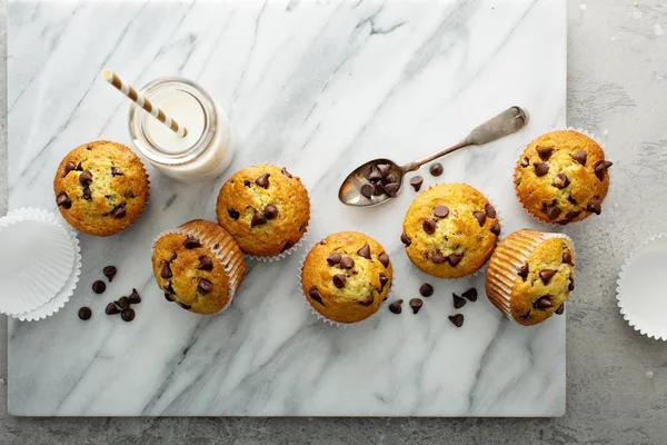 Chocolate chip muffins with milk — Stock Photo, Image
