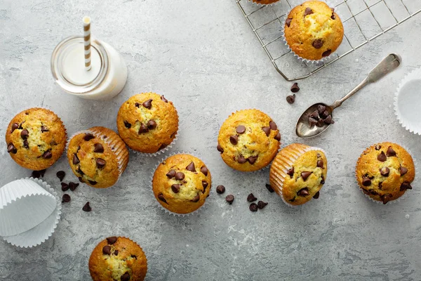 Chocolate chip muffins with milk — Stock Photo, Image