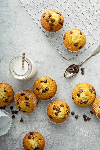 Chocolate chip muffins with milk — Stock Photo, Image