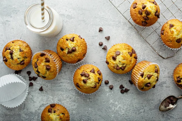 Chocolate chip muffins with milk — Stock Photo, Image