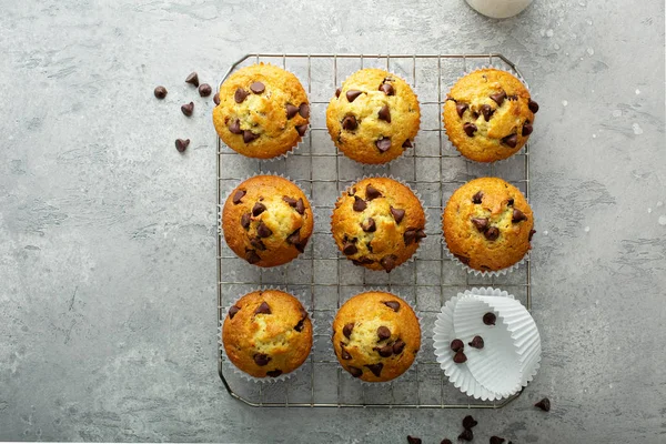 Muffin con gocce di cioccolato e latte — Foto Stock