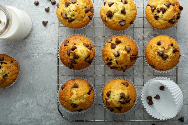 Chocolate chip muffins with milk — Stock Photo, Image