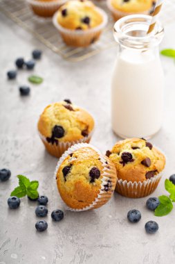 Çikolatalı ve yaban mersinli kekler