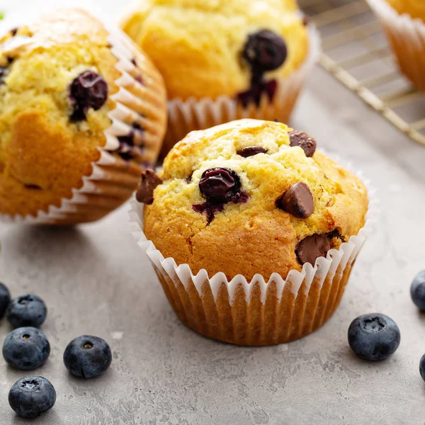 Chocolate chip and blueberry muffins — Stock Photo, Image