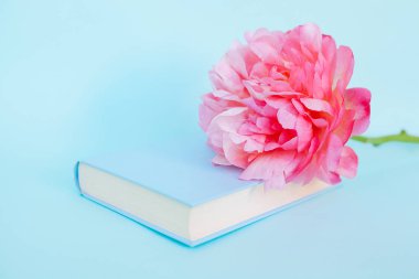 Şakayık Çiçeği ve mavi arka plan üzerine açık mavi kitap