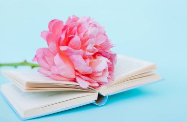 Şakayık Çiçeği ve mavi arka plan üzerine açık mavi kitap