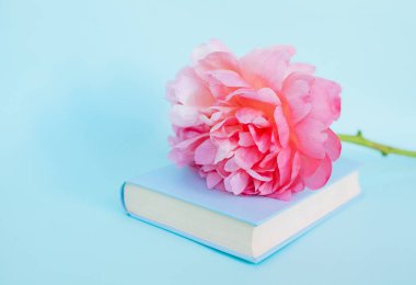 Şakayık Çiçeği ve mavi arka plan üzerine açık mavi kitap