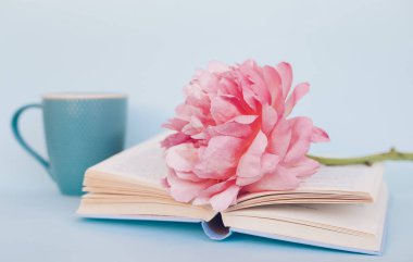 Şakayık Çiçeği ve mavi arka plan üzerine açık mavi kitap