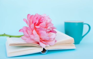 Şakayık Çiçeği ve mavi arka plan üzerine açık mavi kitap