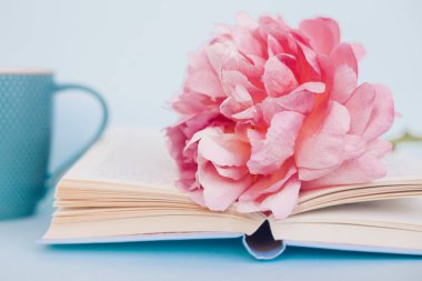 Şakayık Çiçeği ve mavi arka plan üzerine açık mavi kitap