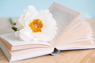 Şakayık Çiçeği ve mavi arka plan üzerine açık mavi kitap