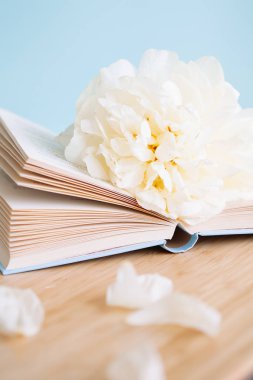 Şakayık Çiçeği ve mavi arka plan üzerine açık mavi kitap