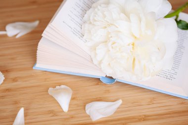 Şakayık Çiçeği ve ahşap arka plan üzerine açık mavi kitap