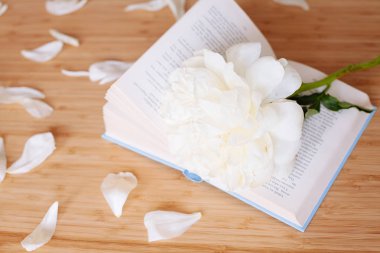 Şakayık Çiçeği ve ahşap arka plan üzerine açık mavi kitap