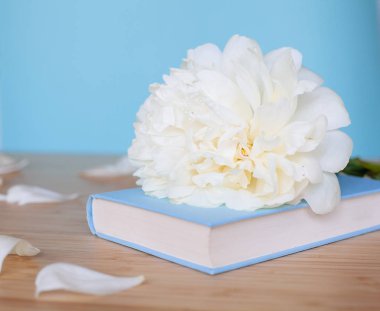 Şakayık Çiçeği ve mavi arka plan üzerine açık mavi kitap