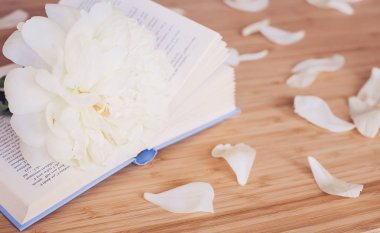 Şakayık Çiçeği ve ahşap arka plan üzerine açık mavi kitap