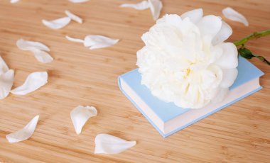 Şakayık Çiçeği ve ahşap arka plan üzerine açık mavi kitap