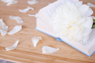 Şakayık Çiçeği ve ahşap arka plan üzerine açık mavi kitap