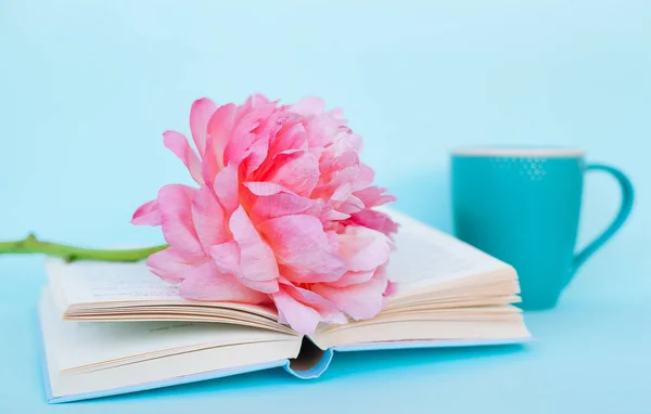 Peonía Flor Libro Azul Claro Sobre Fondo Azul — Foto de Stock