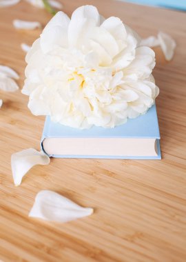 Şakayık Çiçeği ve ahşap arka plan üzerine açık mavi kitap