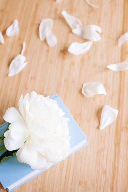 Şakayık Çiçeği ve ahşap arka plan üzerine açık mavi kitap