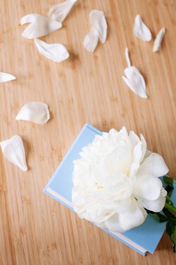 Şakayık Çiçeği ve ahşap arka plan üzerine açık mavi kitap