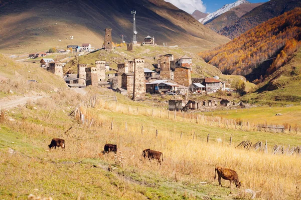 Pueblo Ushguli Con Torres Antiguas Típicas Patrimonio Unesco Región Svaneti — Foto de Stock