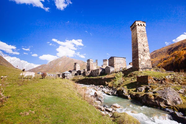 Ushguli Dorp Met Typische Oude Torens Unesco Erfgoed Regio Svaneti — Stockfoto
