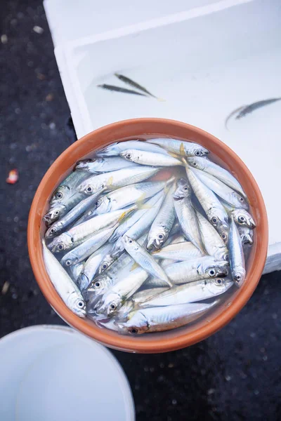 Peixes Capturados Equipamentos Pesca Ponte Galata Istambul — Fotografia de Stock