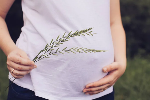 Donna incinta con le mani sulla pancia — Foto Stock