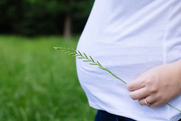 Mujer embarazada con las manos en el vientre — Foto de Stock