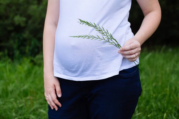 Femme enceinte avec les mains sur le ventre — Photo