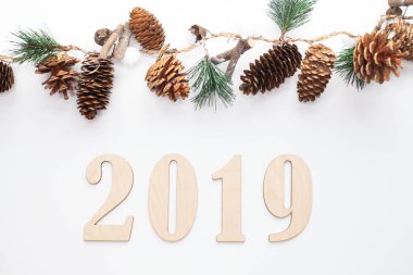 Noel ve yeni yıl kompozisyon. 2019 simbols ve çam dalları koniler beyaz arka plan ile. Düz yatıyordu, en iyi görünüm, kopya alanı metin için