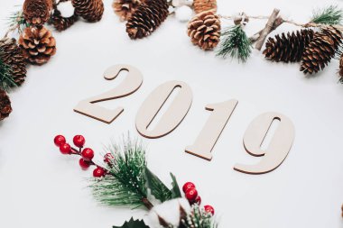 Noel ve yeni yıl kompozisyon. 2019 simbols ve çam dalları koniler beyaz arka plan ile. Düz yatıyordu, en iyi görünüm, kopya alanı metin için