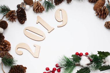 Noel ve yeni yıl kompozisyon. 2019 simbols ve çam dalları koniler beyaz arka plan ile. Düz yatıyordu, en iyi görünüm, kopya alanı metin için