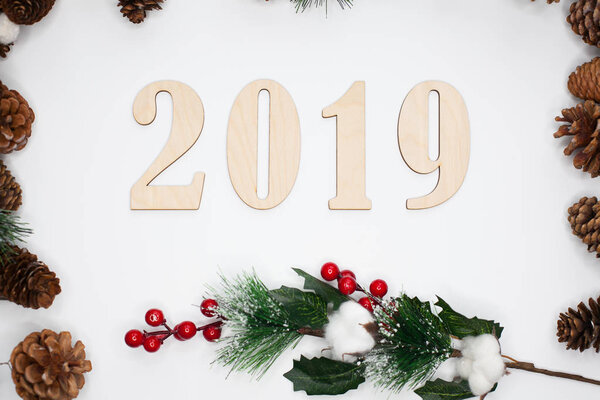 Christmas and New Year composition. 2019 simbols and fir branches with cones on white background. Flat lay, top view, copy space for text