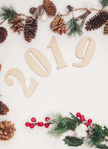 Composición Navidad Año Nuevo 2019 Simboliza Ramas Abeto Con Conos — Foto de Stock